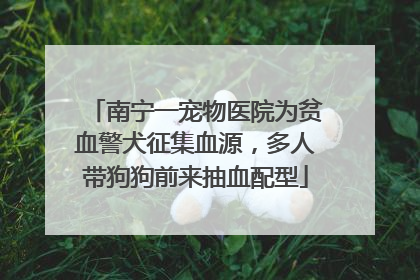南宁一宠物医院为贫血警犬征集血源，多人带狗狗前来抽血配型