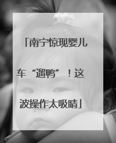 南宁惊现婴儿车“遛鸭”！这波操作太吸睛