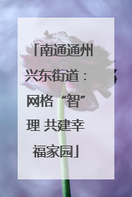 南通通州兴东街道：网格“智”理 共建幸福家园