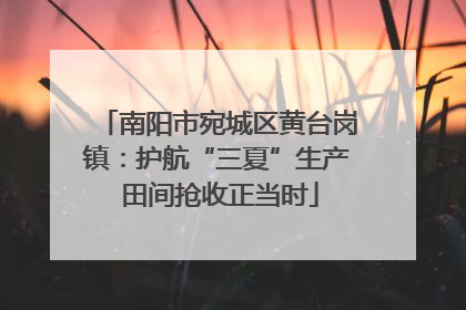 南阳市宛城区黄台岗镇：护航“三夏”生产 田间抢收正当时