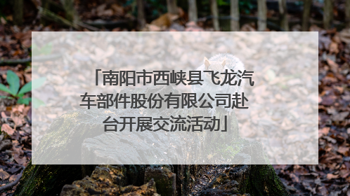 南阳市西峡县飞龙汽车部件股份有限公司赴台开展交流活动