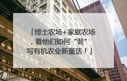 博士农场+家庭农场，看他们如何“薯” 写有机农业新童话！