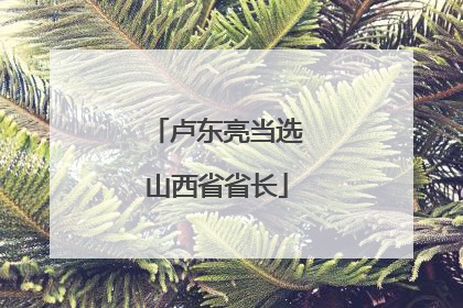 卢东亮当选山西省省长