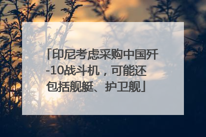 印尼考虑采购中国歼-10战斗机，可能还包括舰艇、护卫舰