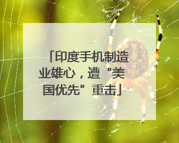 印度手机制造业雄心，遭“美国优先”重击