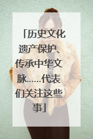 历史文化遗产保护、传承中华文脉……代表们关注这些事