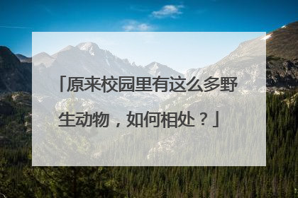 原来校园里有这么多野生动物，如何相处？