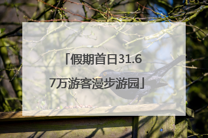 假期首日31.67万游客漫步游园