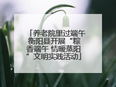 养老院里过端午 衡阳县开展“粽香端午 情暖蒸阳”文明实践活动