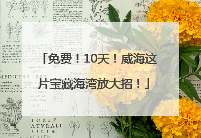 免费！10天！威海这片宝藏海湾放大招！
