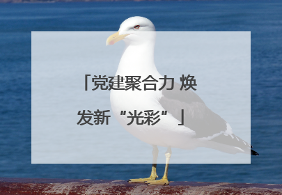 党建聚合力 焕发新“光彩”