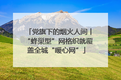 党旗下的烟火人间丨“蜂巢型”网格织就覆盖全城“暖心网”