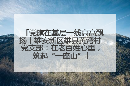 党旗在基层一线高高飘扬丨雄安新区雄县黄湾村党支部：在老百姓心里，筑起“一座山”