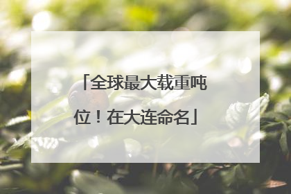 全球最大载重吨位！在大连命名