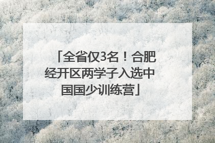 全省仅3名！合肥经开区两学子入选中国国少训练营