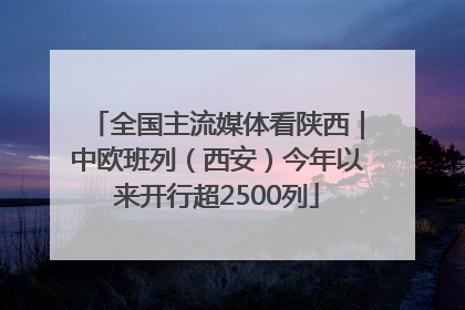 全国主流媒体看陕西｜中欧班列（西安）今年以来开行超2500列