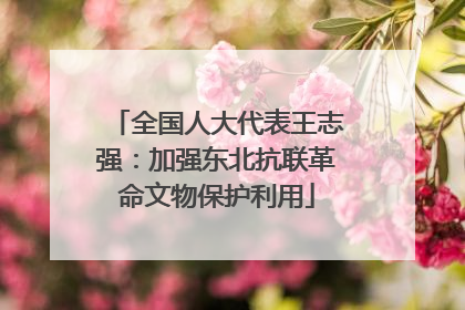 全国人大代表王志强：加强东北抗联革命文物保护利用
