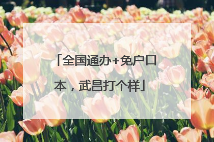 全国通办+免户口本，武昌打个样