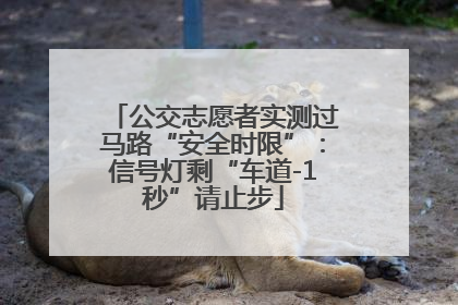 公交志愿者实测过马路“安全时限”：信号灯剩“车道-1秒”请止步