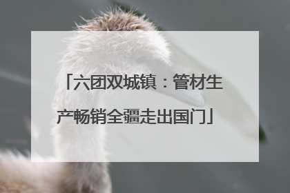 六团双城镇：管材生产畅销全疆走出国门