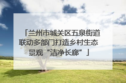 兰州市城关区五泉街道联动多部门打造乡村生态景观“洁净长廊”