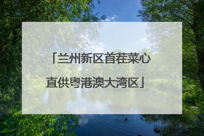 兰州新区首茬菜心直供粤港澳大湾区