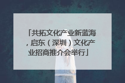 共拓文化产业新蓝海，启东（深圳）文化产业招商推介会举行