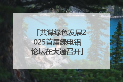共谋绿色发展2025首届绿电铝论坛在大通召开