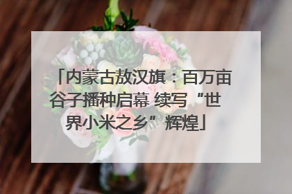 内蒙古敖汉旗：百万亩谷子播种启幕 续写“世界小米之乡”辉煌