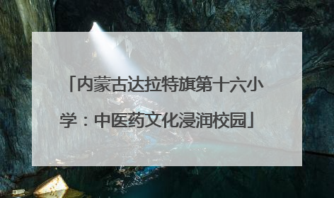 内蒙古达拉特旗第十六小学：中医药文化浸润校园