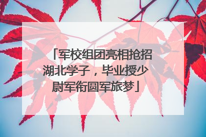 军校组团亮相抢招湖北学子，毕业授少尉军衔圆军旅梦