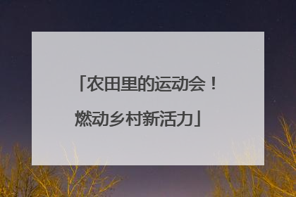 农田里的运动会！燃动乡村新活力