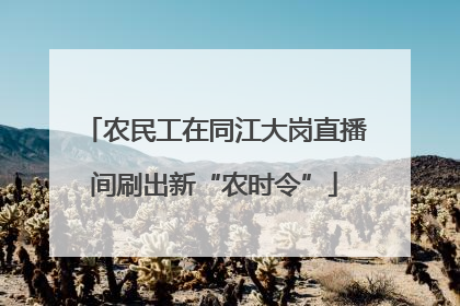 农民工在同江大岗直播间刷出新“农时令”