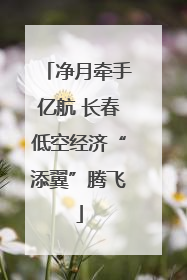 净月牵手亿航 长春低空经济“添翼”腾飞