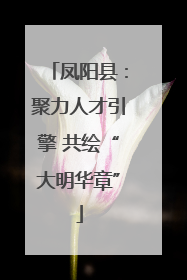 凤阳县：聚力人才引擎 共绘“大明华章”