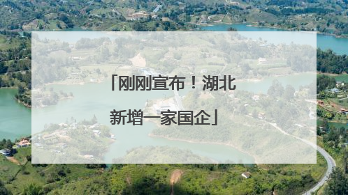 刚刚宣布！湖北新增一家国企