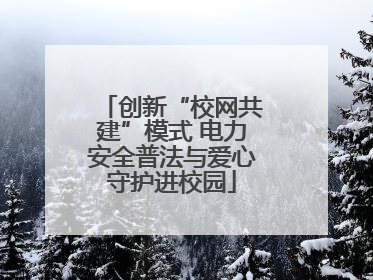 创新“校网共建”模式 电力安全普法与爱心守护进校园