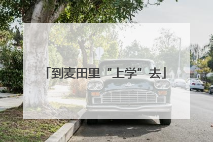 到麦田里“上学”去