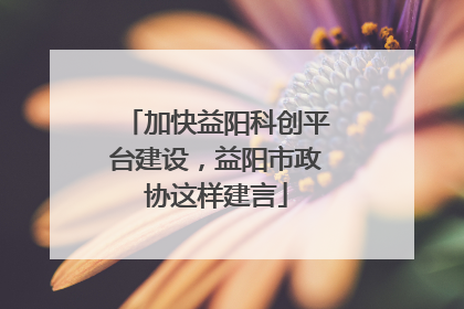 加快益阳科创平台建设，益阳市政协这样建言