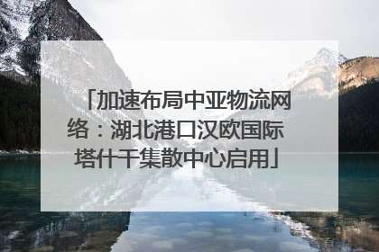 加速布局中亚物流网络：湖北港口汉欧国际塔什干集散中心启用