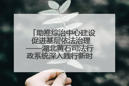 助推综治中心建设 促进基层依法治理——湖北黄石司法行政系统深入践行新时代枫桥经验