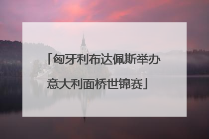 匈牙利布达佩斯举办意大利面桥世锦赛
