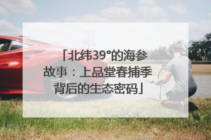 北纬39°的海参故事：上品堂春捕季背后的生态密码