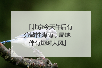 北京今天午后有分散性降雨，局地伴有短时大风