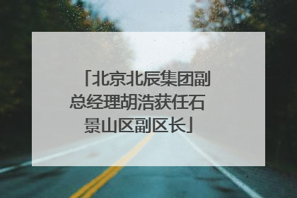 北京北辰集团副总经理胡浩获任石景山区副区长