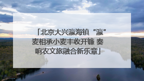 北京大兴瀛海镇“瀛”麦相承小麦丰收开镰 奏响农文旅融合新乐章