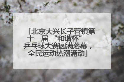 北京大兴长子营镇第十一届 “和谐杯” 乒乓球大赛圆满落幕，全民运动热潮涌动