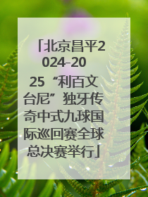 北京昌平2024-2025“利百文台尼”独牙传奇中式九球国际巡回赛全球总决赛举行