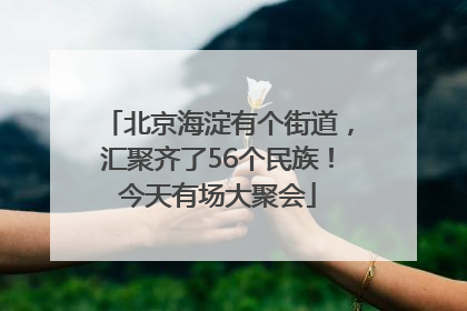 北京海淀有个街道，汇聚齐了56个民族！今天有场大聚会