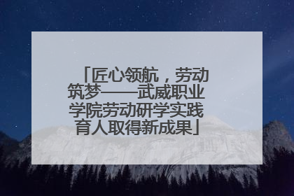匠心领航，劳动筑梦——武威职业学院劳动研学实践育人取得新成果